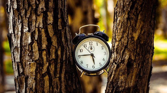 Time Management vs Focus Management: Een Zoektocht naar Balans